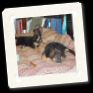 CC Casey Chloe 033.jpg